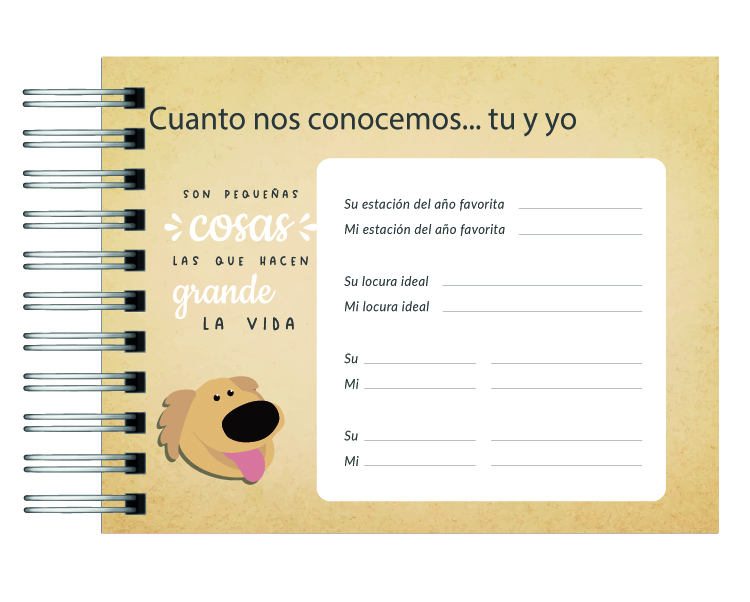 Libro de Aventuras Up 4