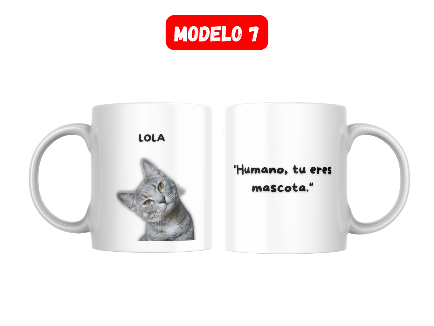 Taza 