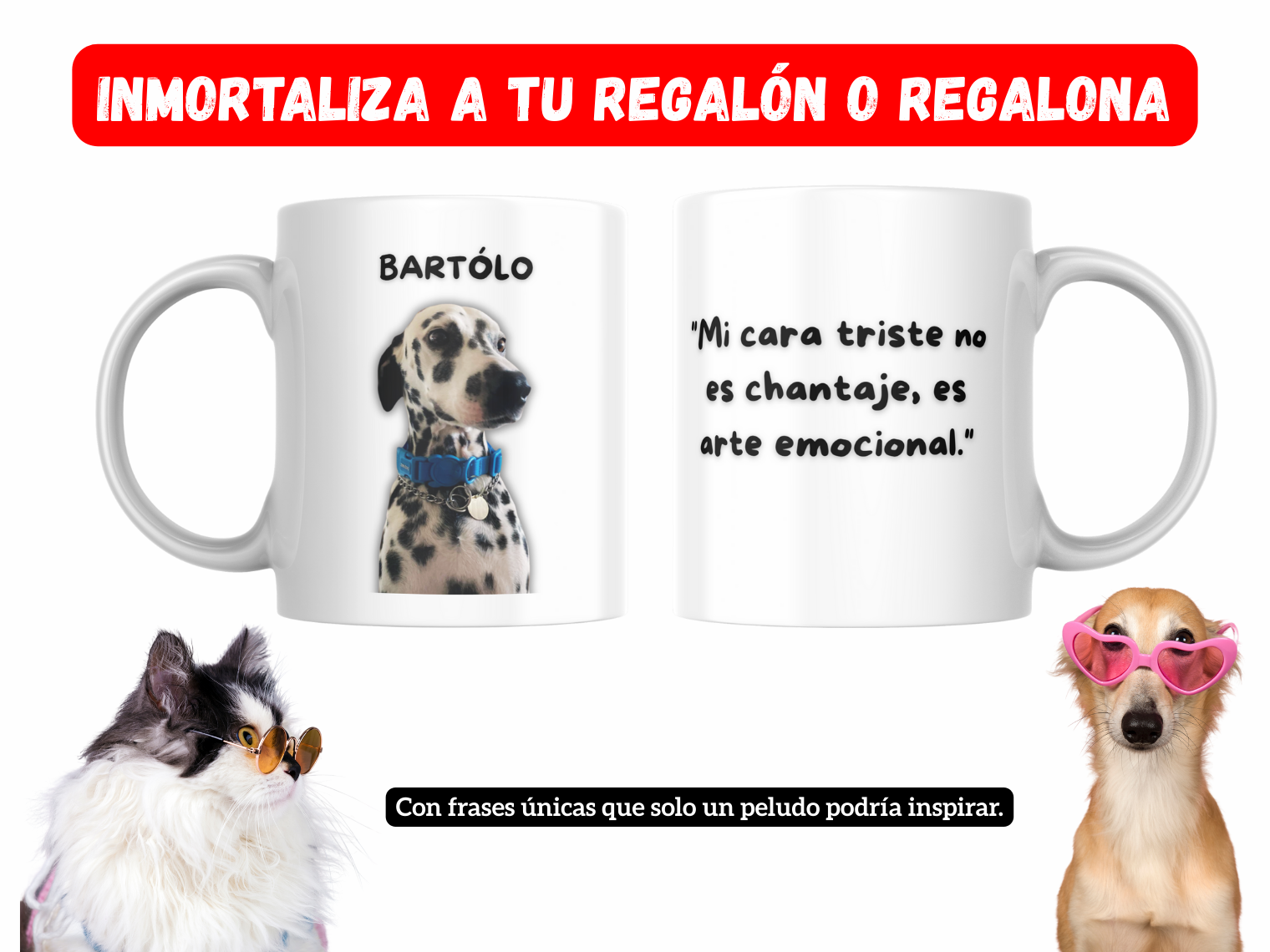 Taza 