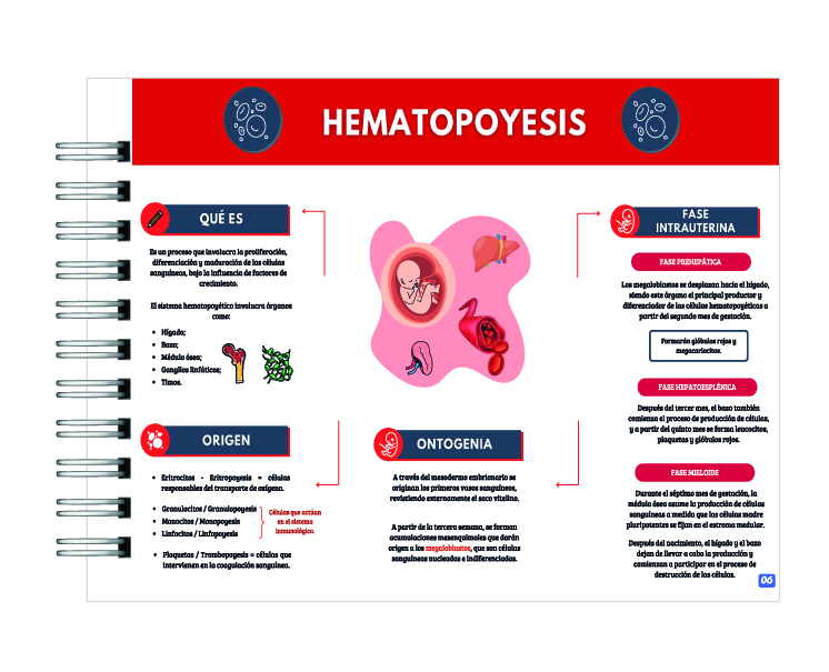 Manual de Interpretación de Hemograma 4