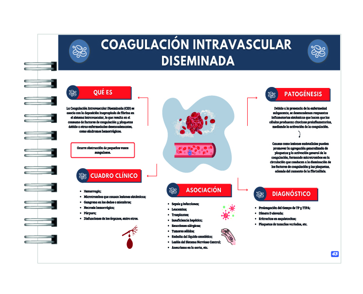 Manual de Interpretación de Hemograma 5
