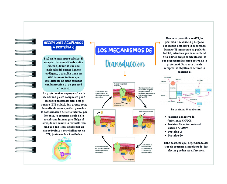 Manual de Mapas Mentales de Farmacología 5