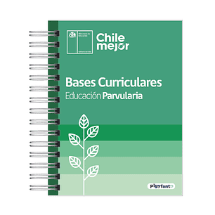 Bases Curriculares de Educación Parvularia – Última Edición Actualizada