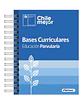 Bases Curriculares de Educación Parvularia – Última Edición Actualizada - Miniatura 5