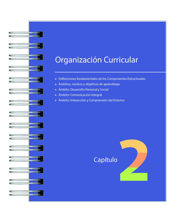 Bases Curriculares de Educación Parvularia – Última Edición | Variedad de Diseños Disponibles 4