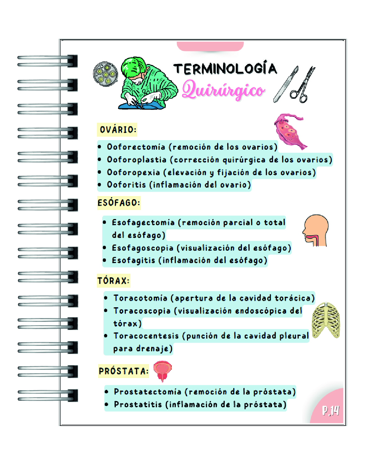 Diccionario Ilustrado de Enfermería – Más de 500 Términos Técnicos 5