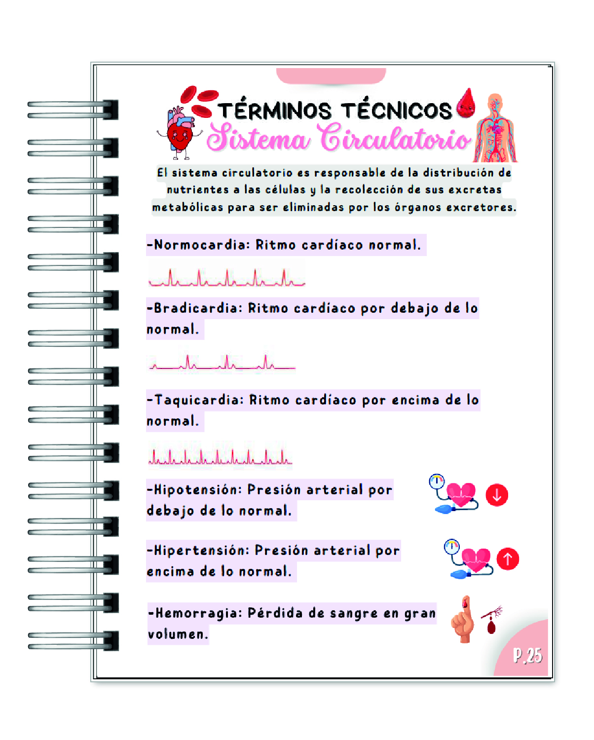 Diccionario Ilustrado de Enfermería – Más de 500 Términos Técnicos 4