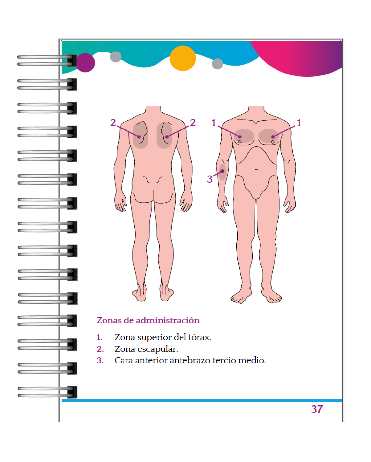 Guía Clínica de Enfermería 2025 – Manual Práctico para Internado y Turno Clínico 4