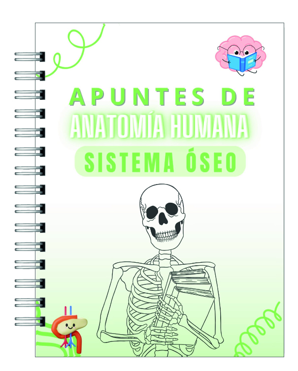 Libreta de Apuntes de Anatomía Humana Sistema Óseo 1