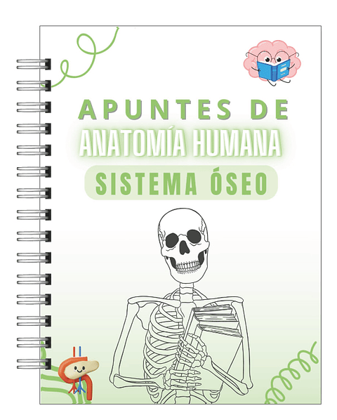 Libreta de Apuntes de Anatomía Humana Sistema Óseo