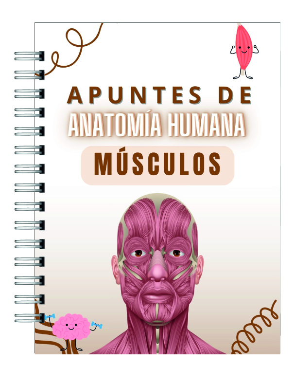 Libreta de Apuntes de Anatomía Humana Músculos 1