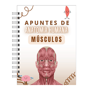 Libreta de Apuntes de Anatomía Humana Músculos