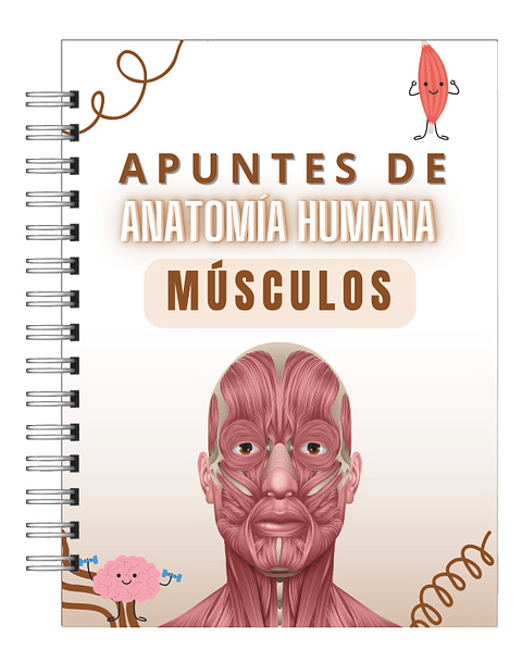 Libreta de Apuntes de Anatomía Humana Músculos