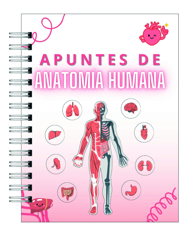 Libreta de Apuntes de Anatomía Humana 1