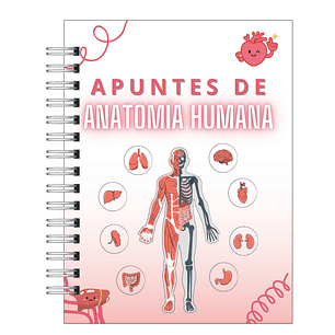 Libreta de Apuntes de Anatomía Humana