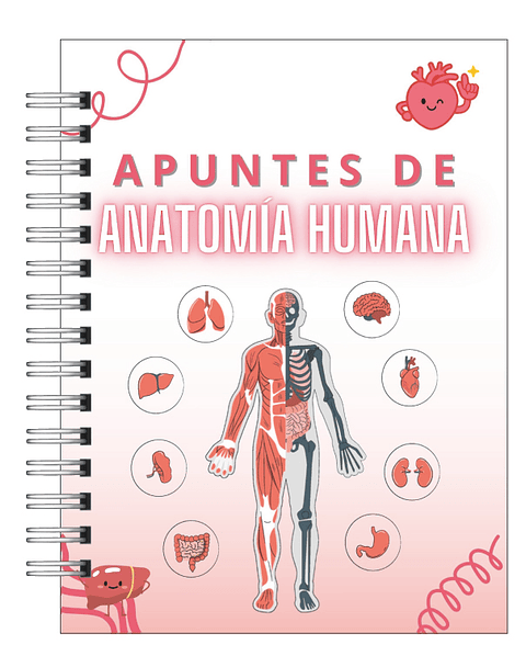 Libreta de Apuntes de Anatomía Humana