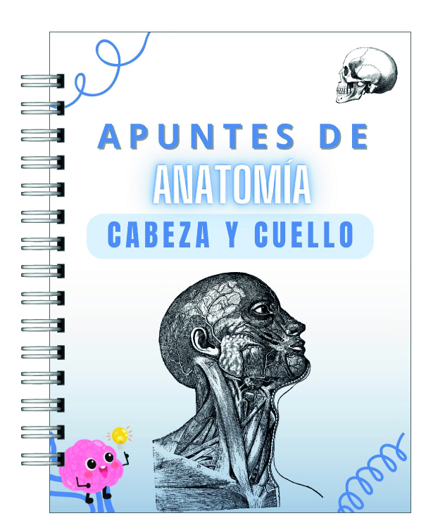 Libreta de Apuntes de Anatomía Cabeza y Cuello 1