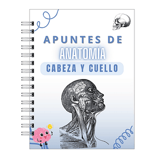 Libreta de Apuntes de Anatomía Cabeza y Cuello