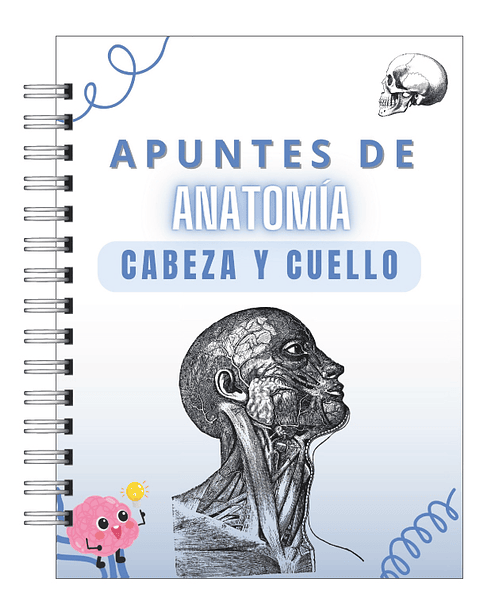 Libreta de Apuntes de Anatomía Cabeza y Cuello