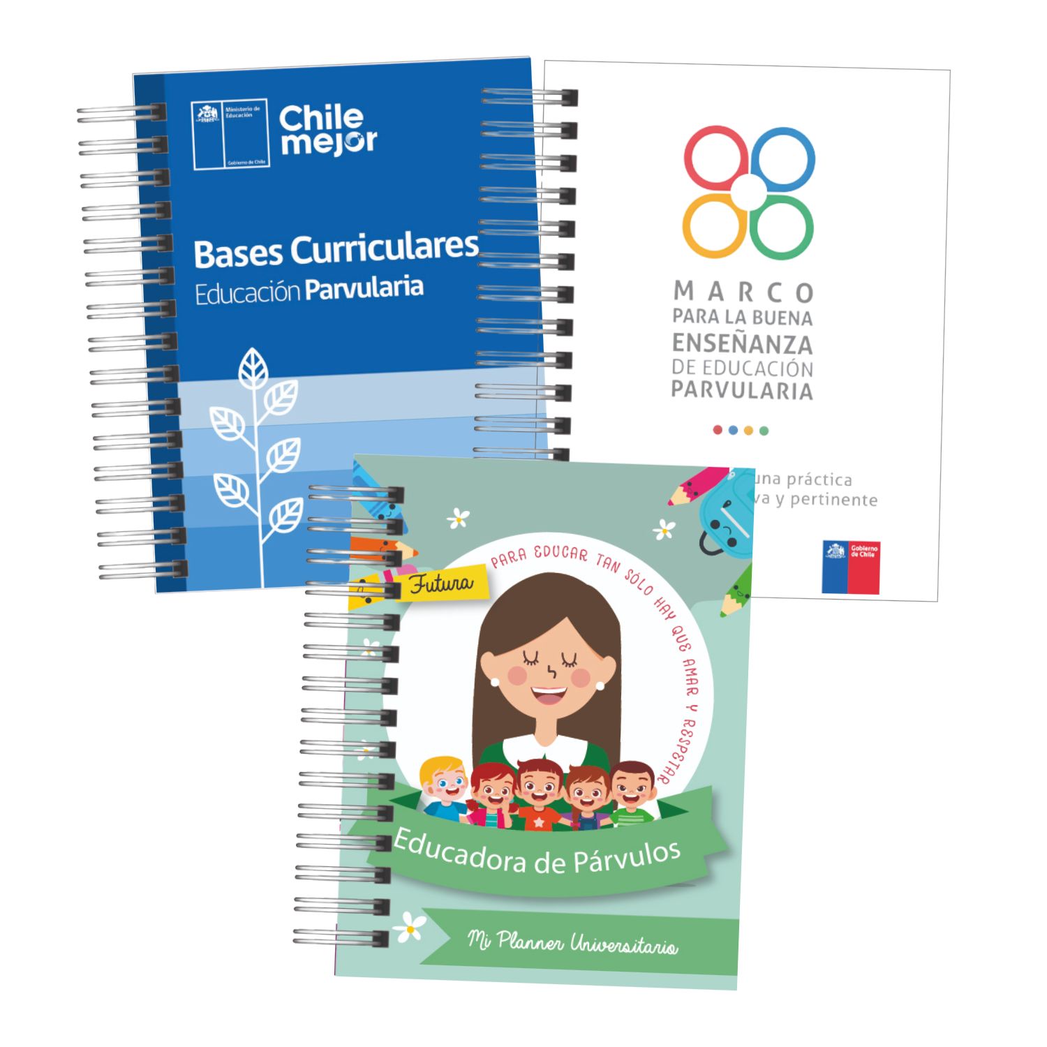 Pack Futuras Estudiantes Educación Parvularia – Planificador + Bases Curriculares + MBE 6