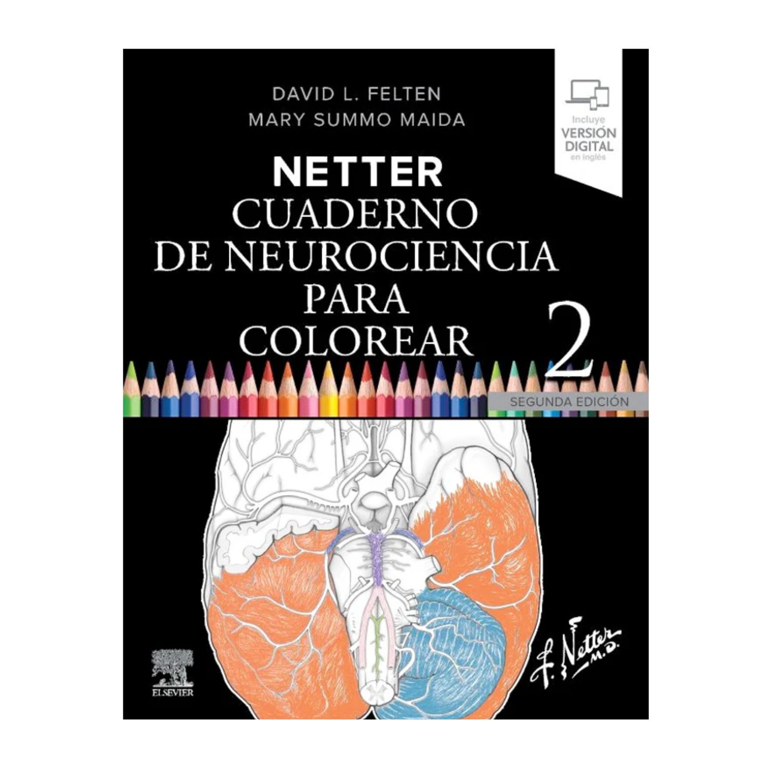Libro para Colorear Neurociencia Netter 2 – Última Edición Actualizada | Edición Elaborada por Nosotros 1