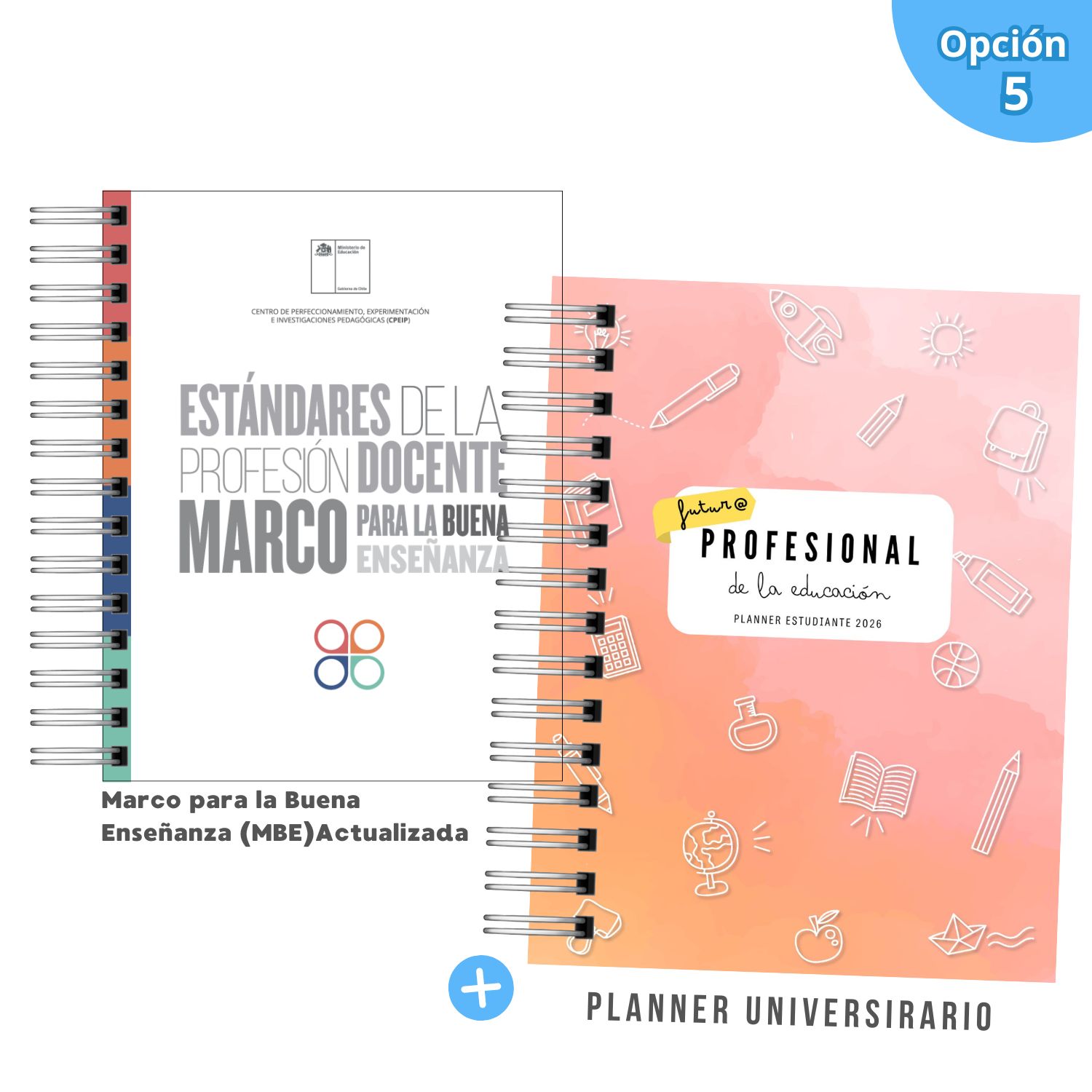 Pack Mechón de la Educación  – Estándares de la Profesión Docente + Planner Universitario 6