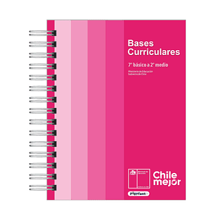 Bases Curriculares Educación Básica 7° Básico a 2° Medio | Última Versión Oficial