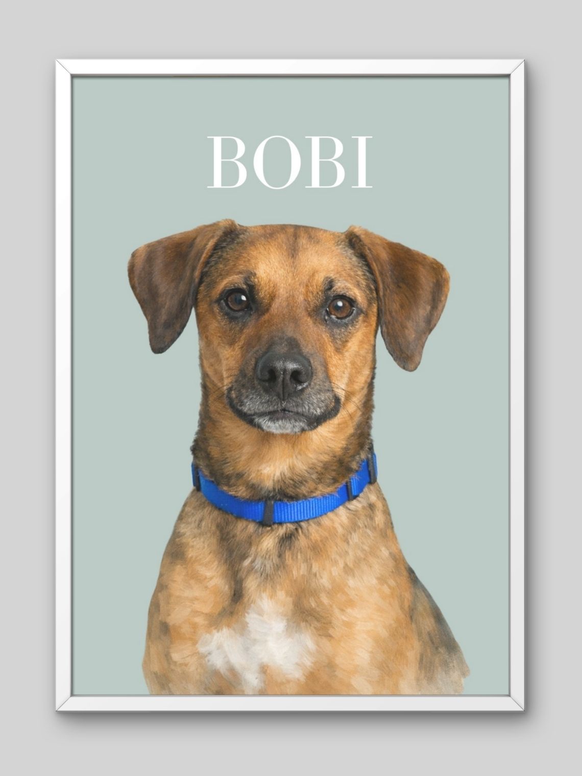 Retrato de Mascota Personalizado | Ilustración Digital a Partir de Foto 4