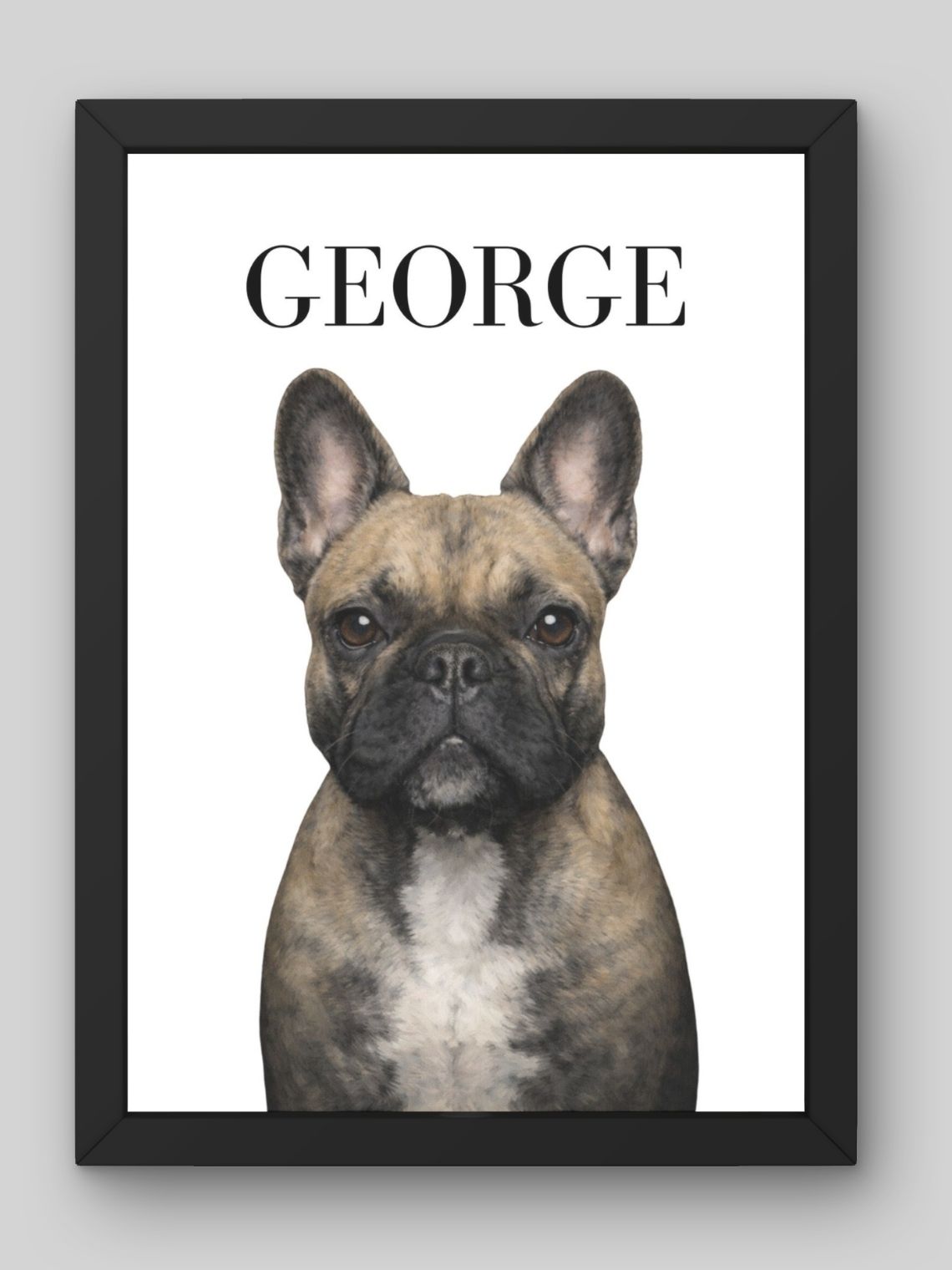 Retrato de Mascota Personalizado | Ilustración Digital a Partir de Foto 1