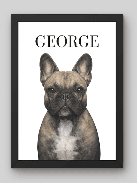 Retrato de Mascota Personalizado | Ilustración Digital a Partir de Foto