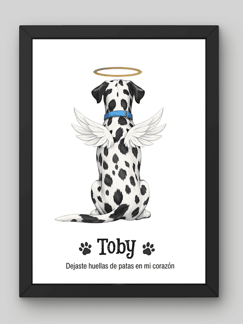 Cuadro Conmemorativo de Mascota Personalizado | Homenaje Puente del Arcoíris