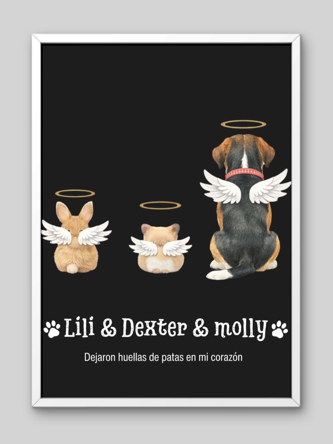 Cuadro Conmemorativo de Mascota Personalizado | Homenaje Puente del Arcoíris 6