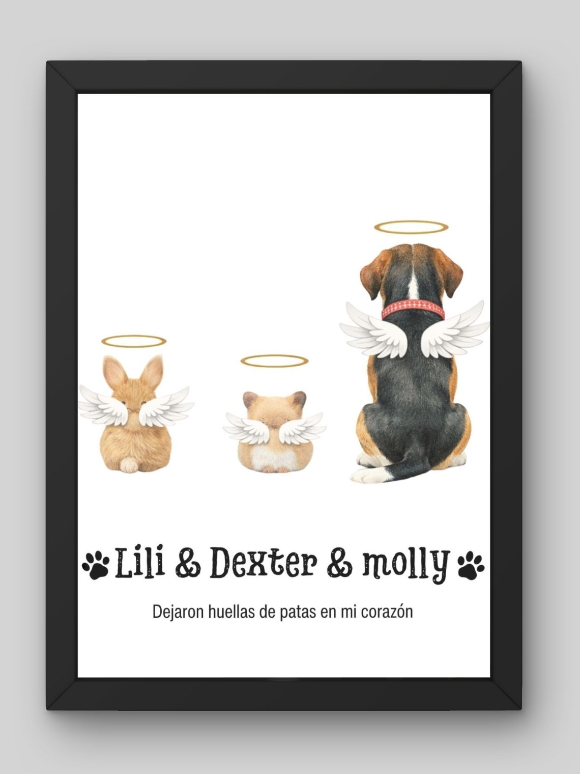 Cuadro Conmemorativo de Mascota Personalizado | Homenaje Puente del Arcoíris 5