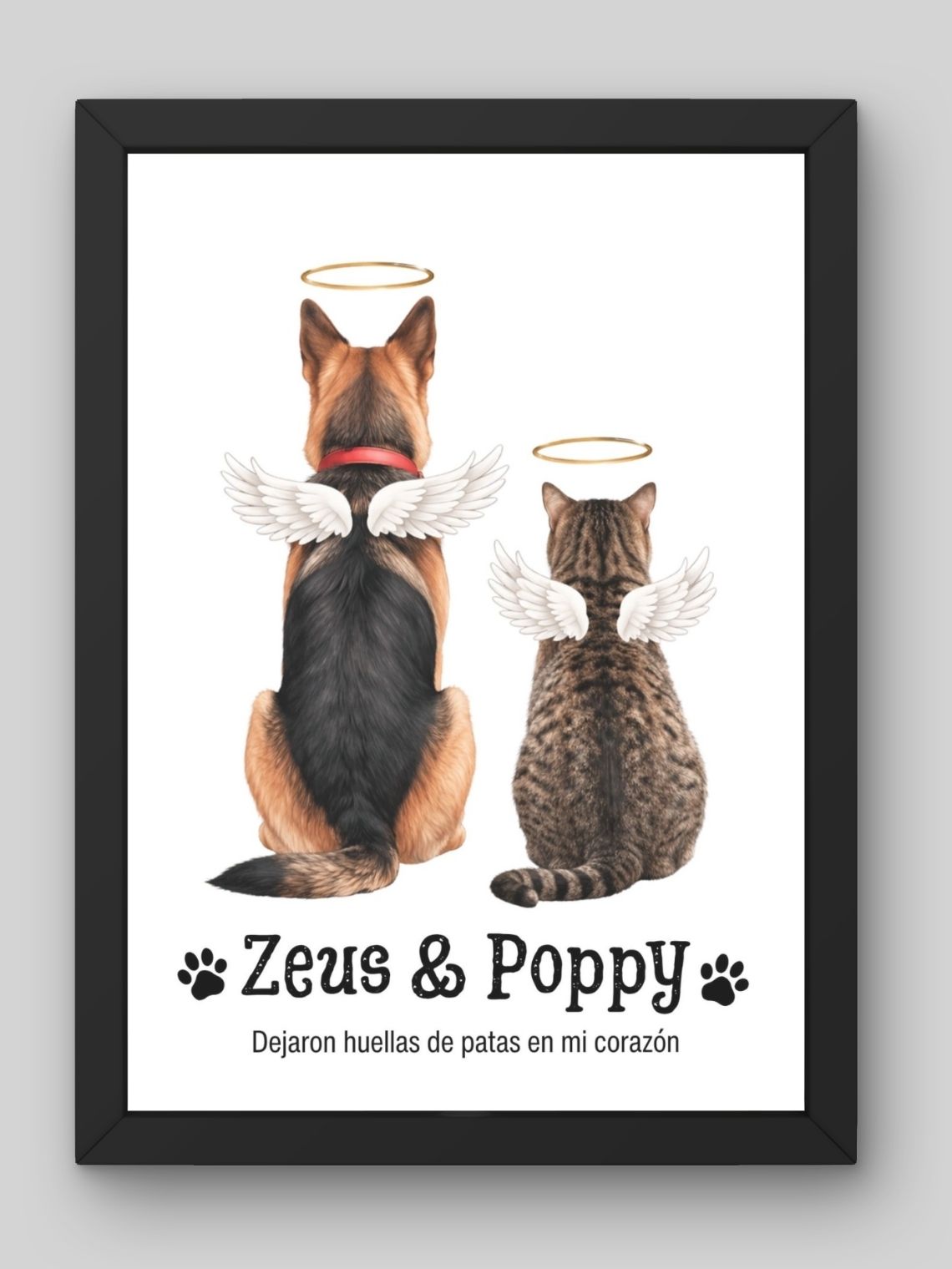 Cuadro Conmemorativo de Mascota Personalizado | Homenaje Puente del Arcoíris 3