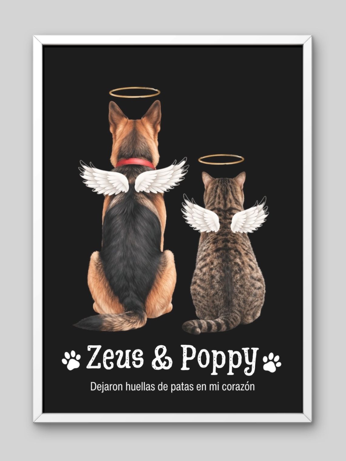 Cuadro Conmemorativo de Mascota Personalizado | Homenaje Puente del Arcoíris 4