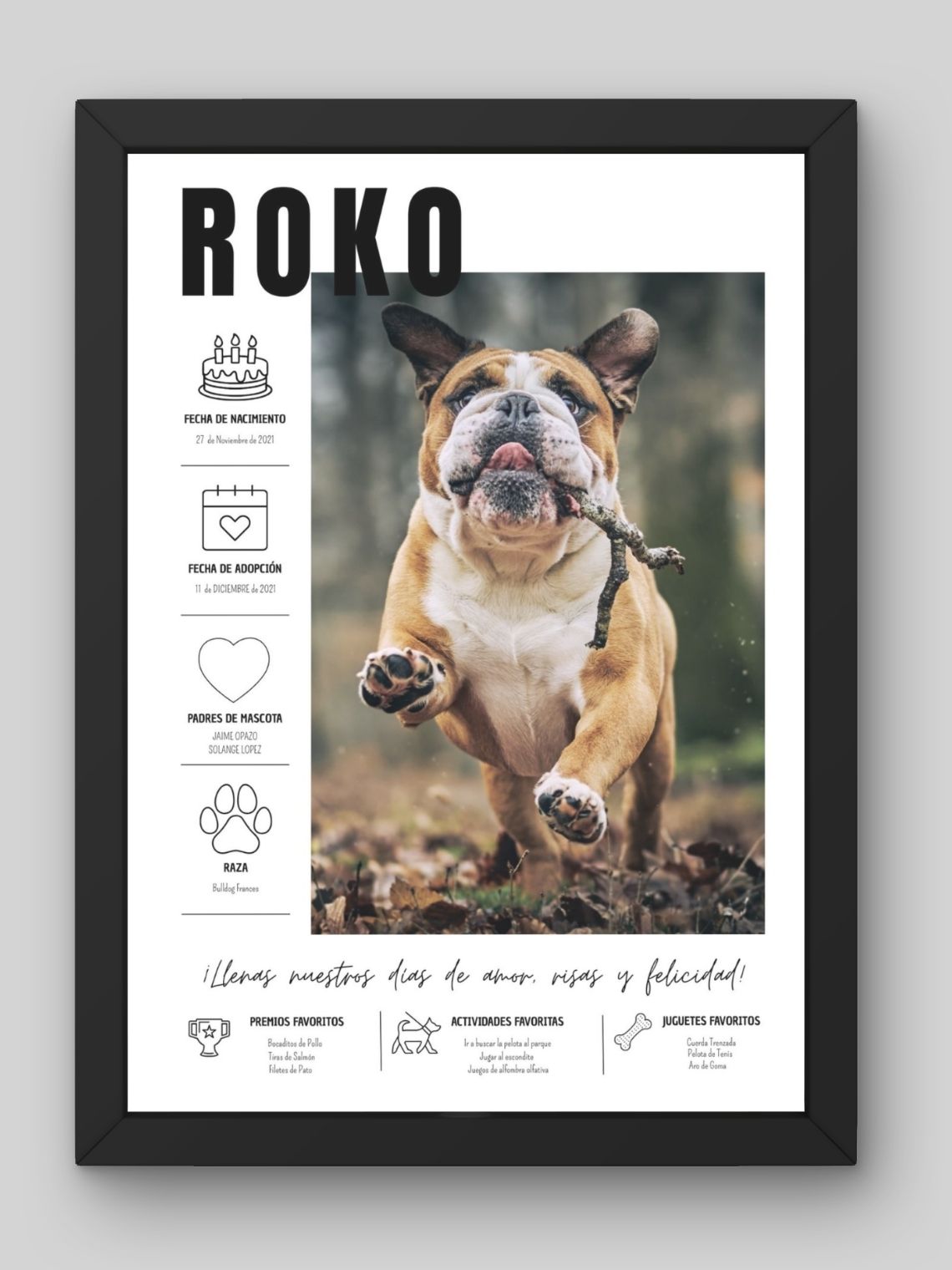 Cuadro de Mascota Personalizado: La Historia de tu Mejor Amigo ✨ 1