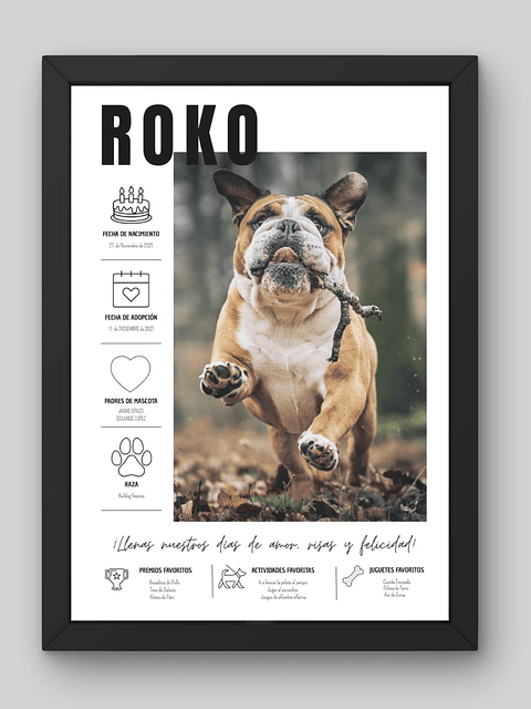 Cuadro de Mascota Personalizado: La Historia de tu Mejor Amigo ✨