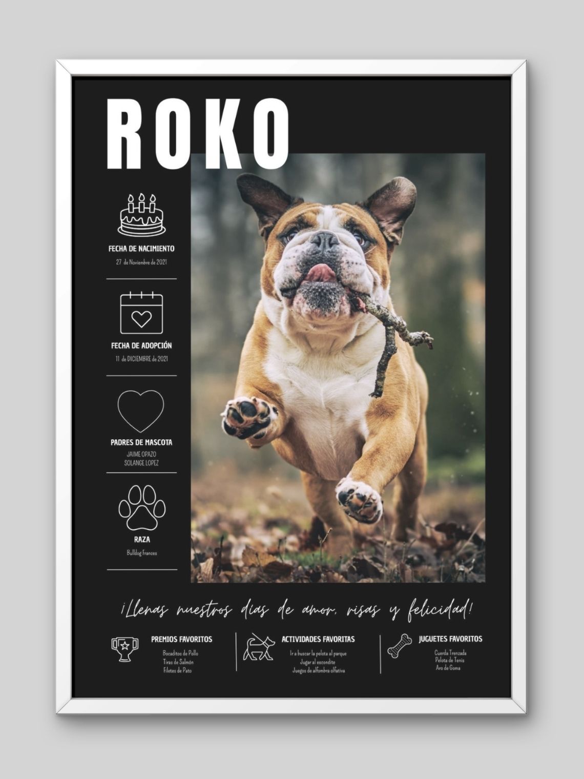 Cuadro de Mascota Personalizado: La Historia de tu Mejor Amigo ✨ 2