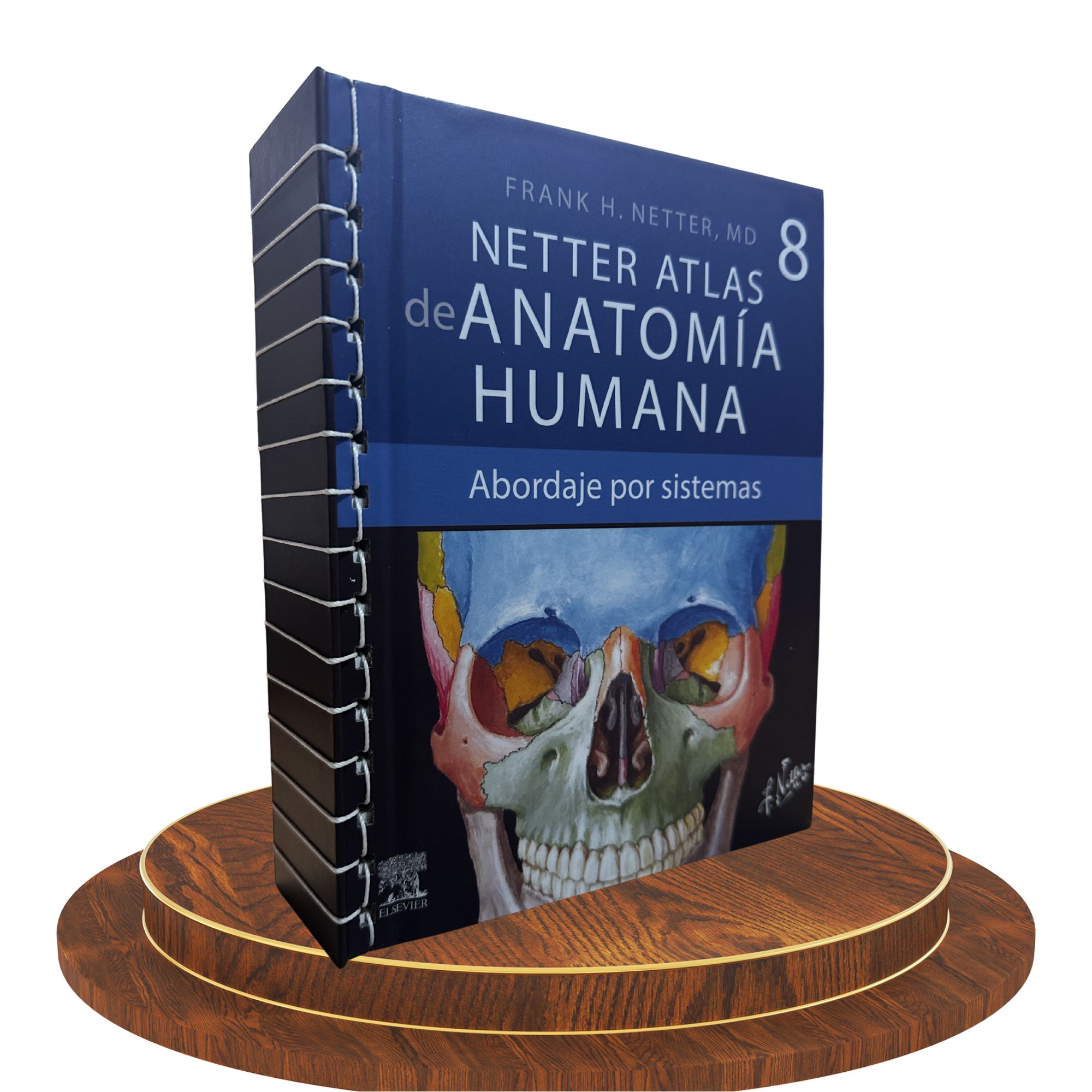 Atlas de Anatomía Humana Netter – 8.ª edición (Abordaje por Sistemas) | Edición Elaborada por Nosotros 2