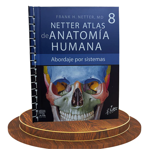 Atlas de Anatomía Humana Netter – 8.ª edición (Abordaje por Sistemas) | Edición Elaborada por Nosotros