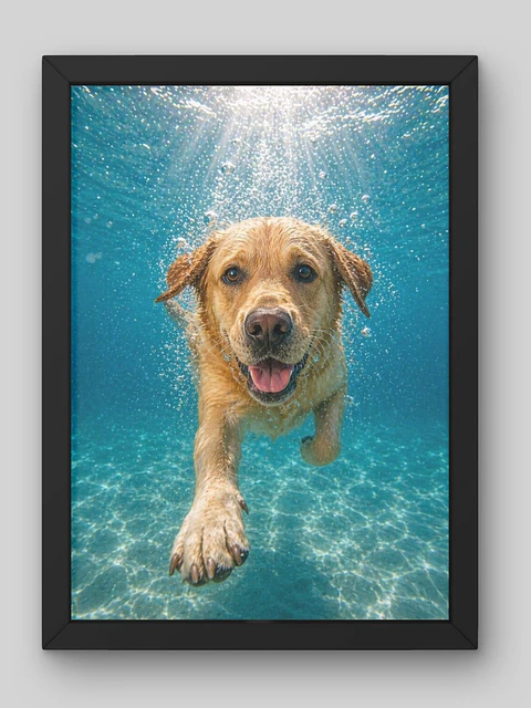 Cuadros "Underwater Pets": ¡La Aventura más Refrescante de tu Mascota! 