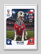 Cuadro Personalizado Lámina Mascota Mundialera 2026 - Miniatura 6