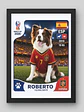 Cuadro Personalizado Lámina Mascota Mundialera 2026 - Miniatura 5