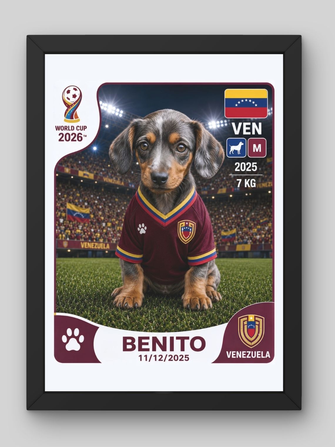 Cuadro Personalizado Lámina Mascota Mundialera 2026 9