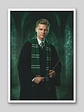 Cuadro Fotomontaje Personalizado Harry Potter: Elige cualquiera de las 4 Escuelas