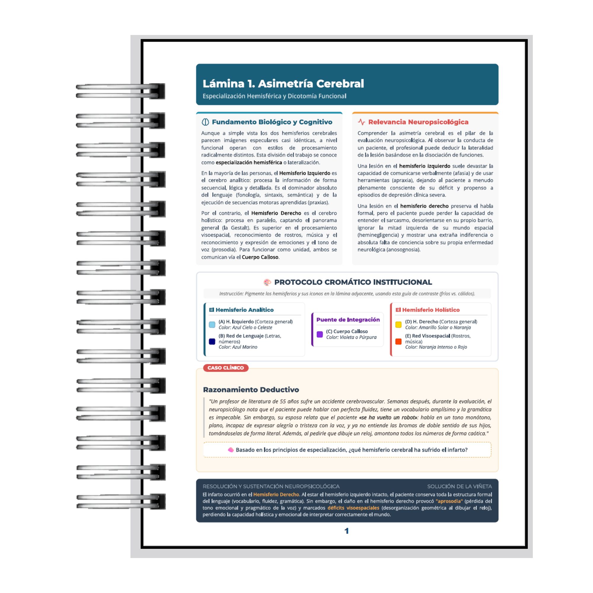 Manual de Neuropsicología para Colorear - Aprendizaje Activo y Neuroanatomía 6