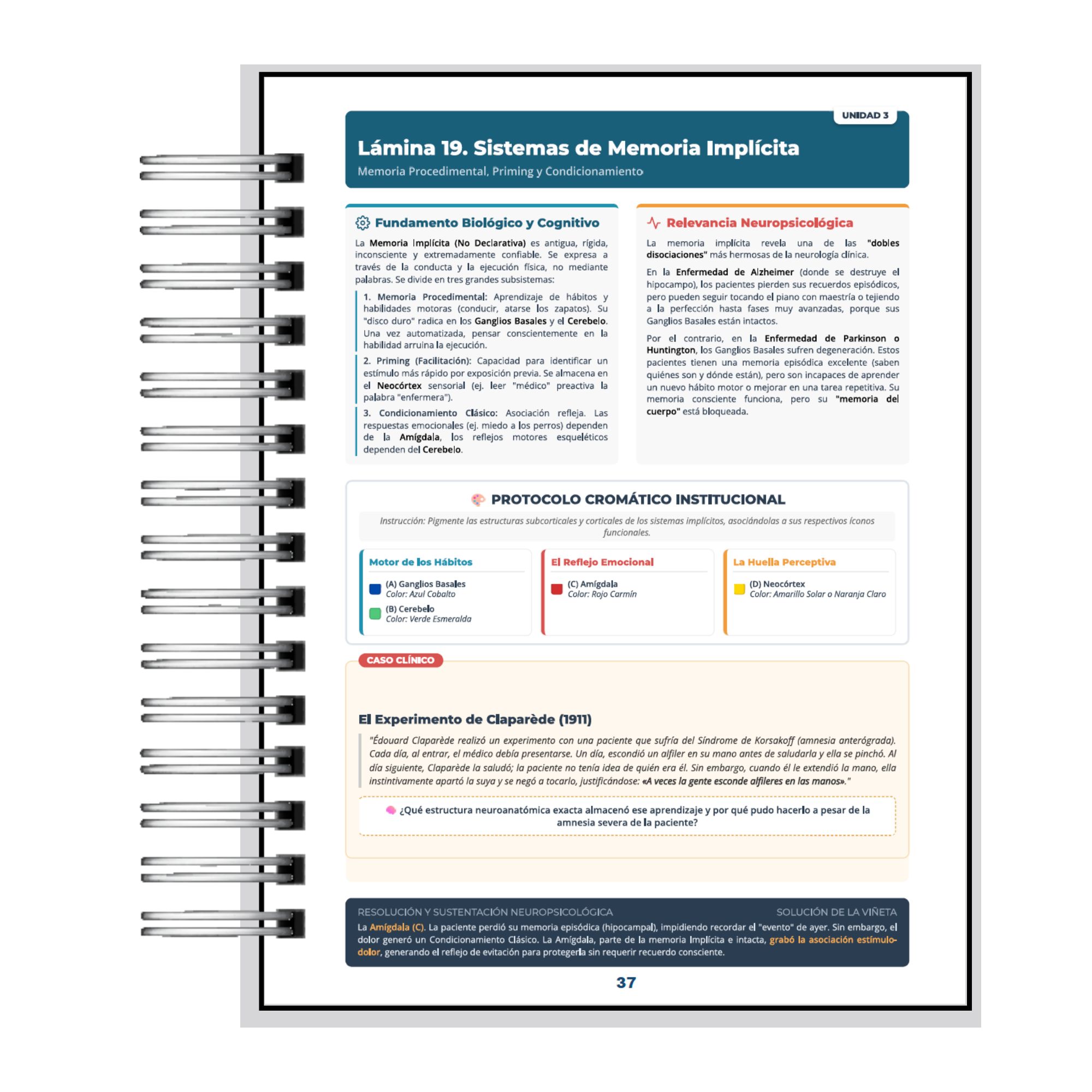 Manual de Neuropsicología para Colorear - Aprendizaje Activo y Neuroanatomía 9