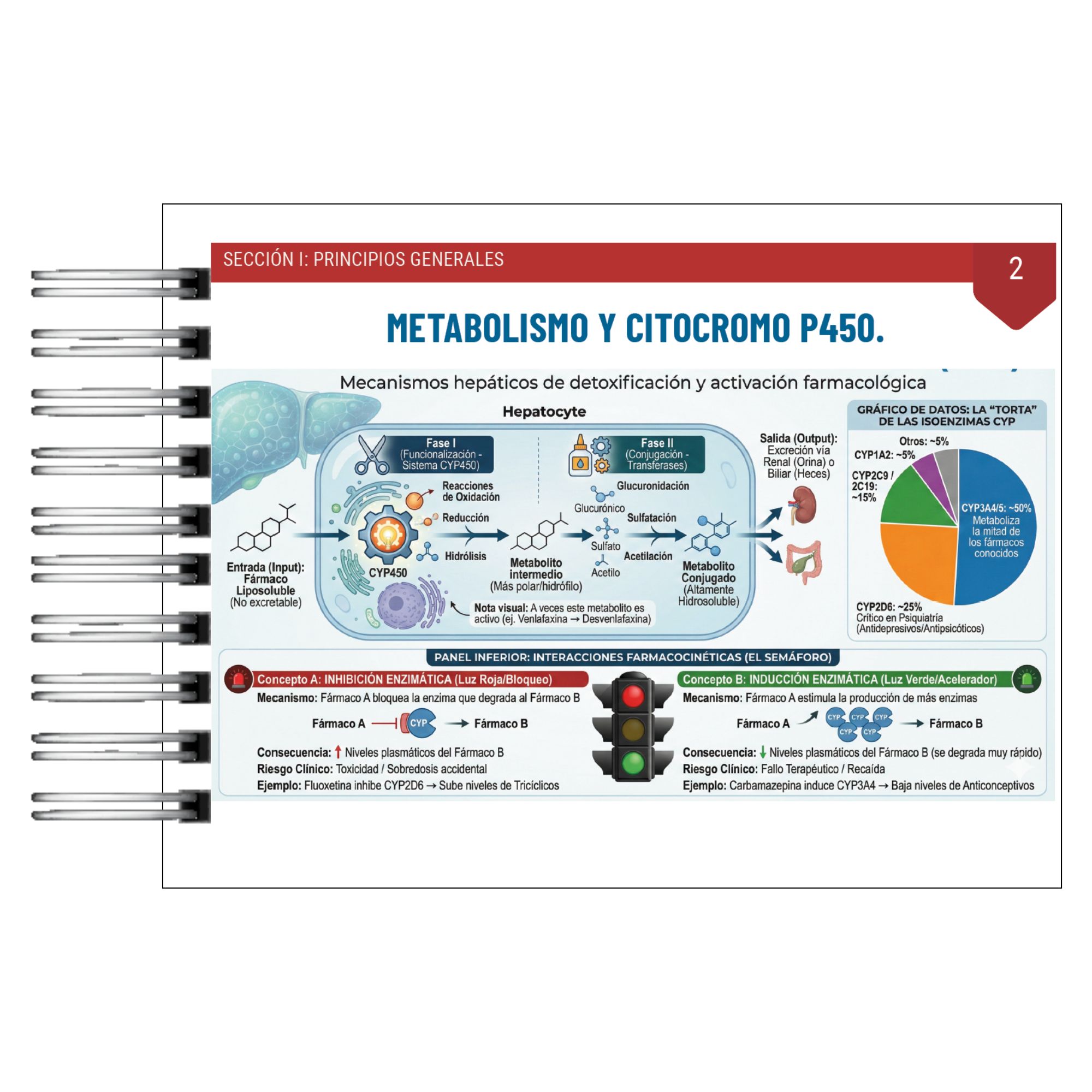 Guía Práctica de Psicofarmacología Clínica – Manual Visual e Infográfico 6