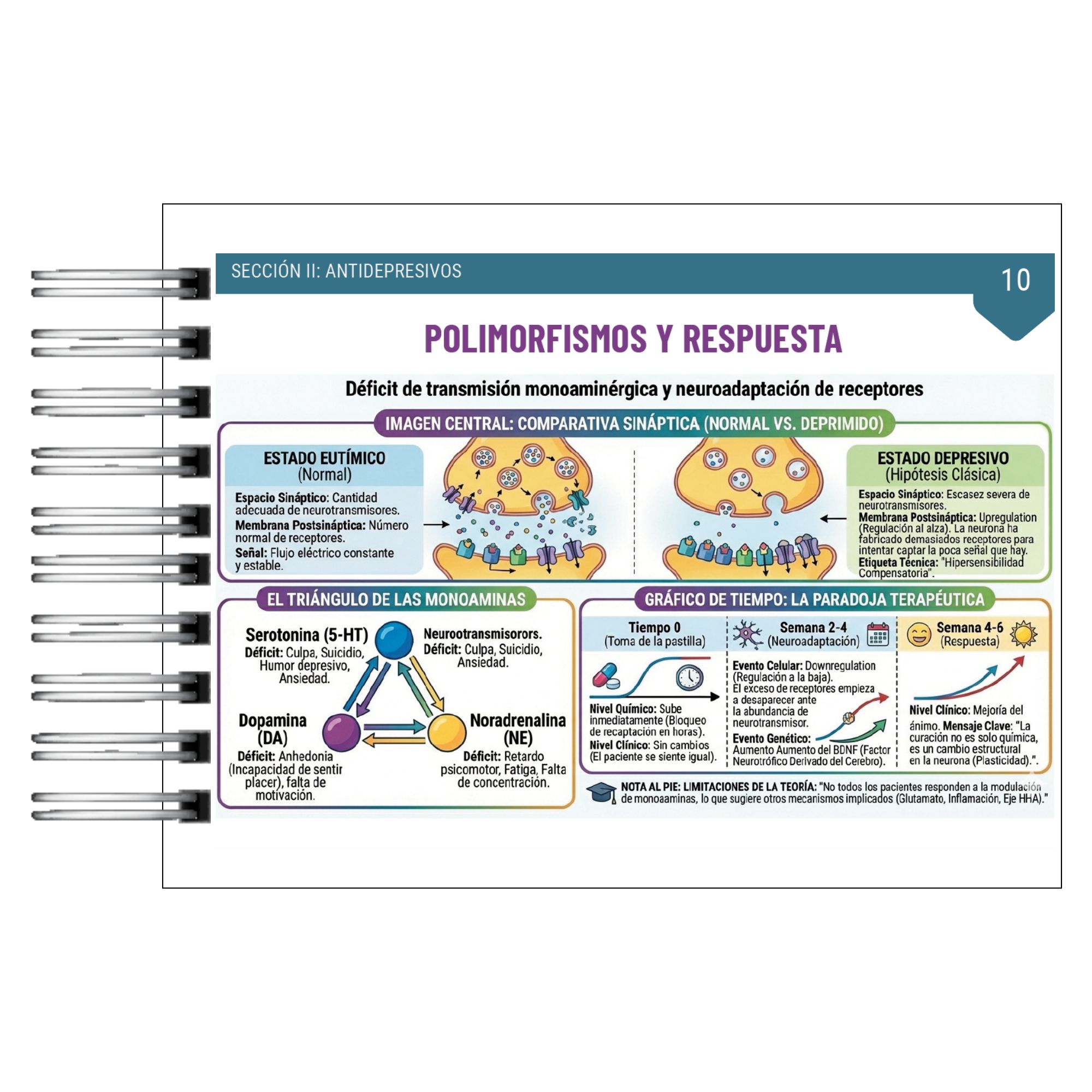 Guía Práctica de Psicofarmacología Clínica – Manual Visual e Infográfico 7