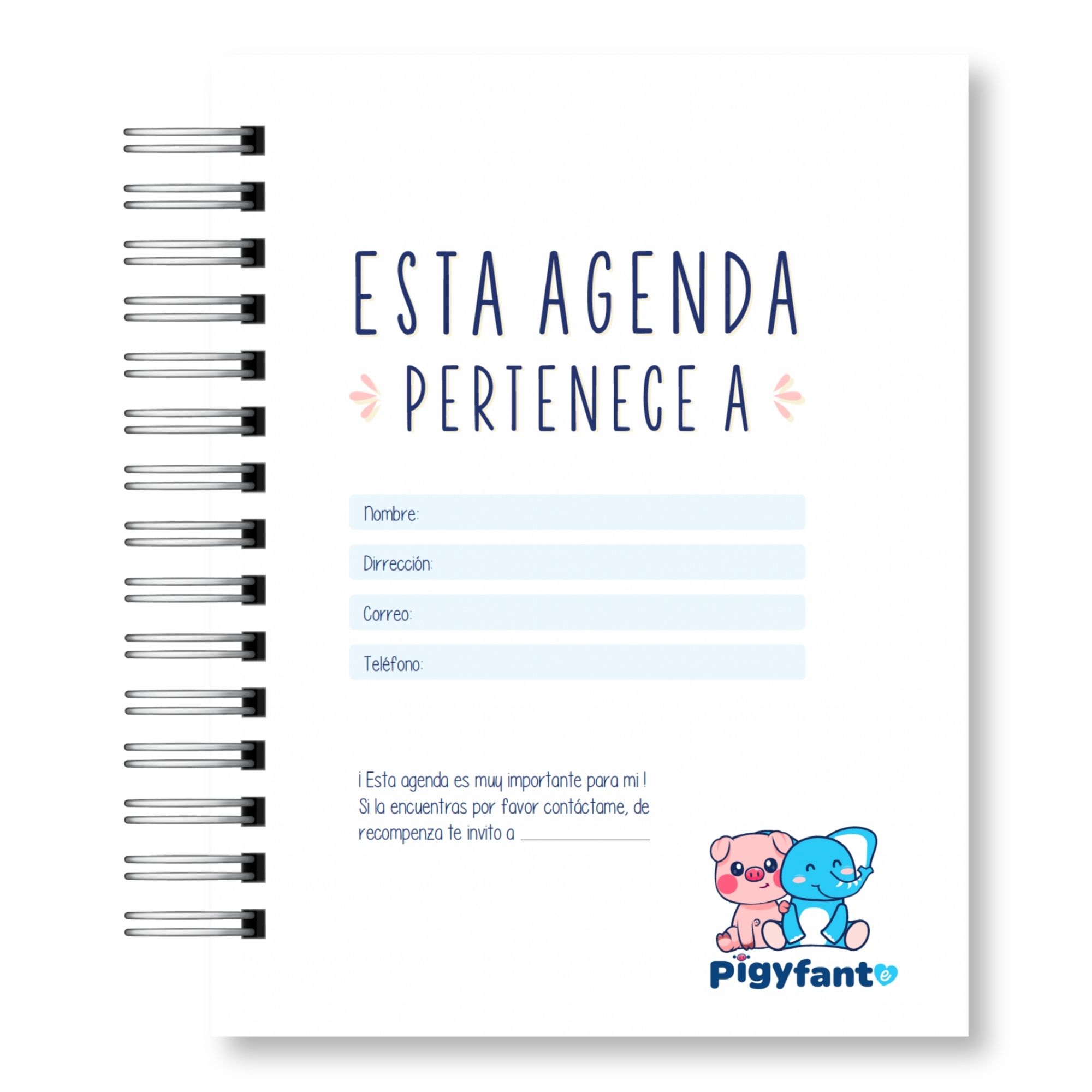 Agenda Matron 2027 4